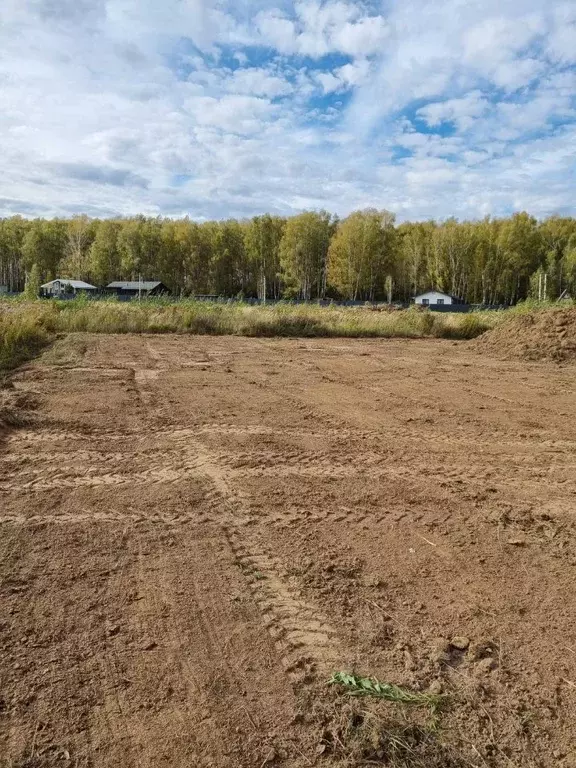 Участок в Московская область, Ступино городской округ, Хомутово кп  ... - Фото 2