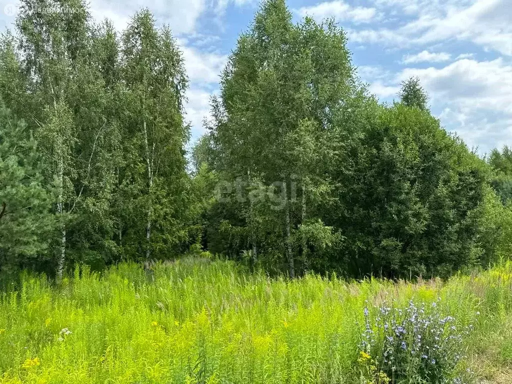 Участок в Нижегородская область, Балахнинский муниципальный округ, ... - Фото 1