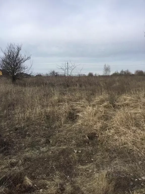 Участок в Московская область, Серебряные Пруды пгт ул. Свободная ... - Фото 0