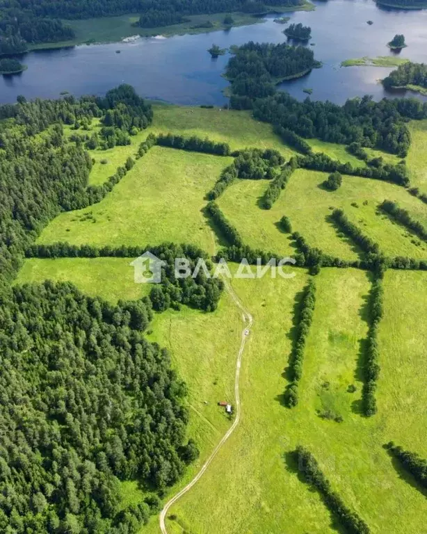 Участок в Ленинградская область, Приозерский район, Ромашкинское ... - Фото 1