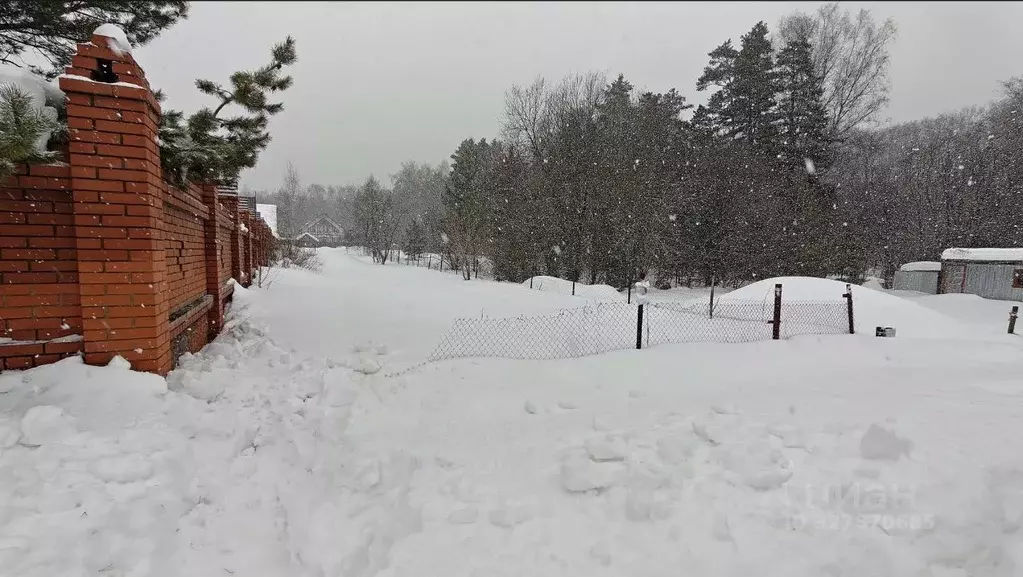 Участок в Московская область, Ленинский городской округ, д. Большое ... - Фото 1