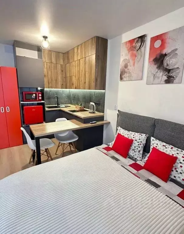 Студия Свердловская область, Екатеринбург ул. Советская, 64 (25.0 м) - Фото 1