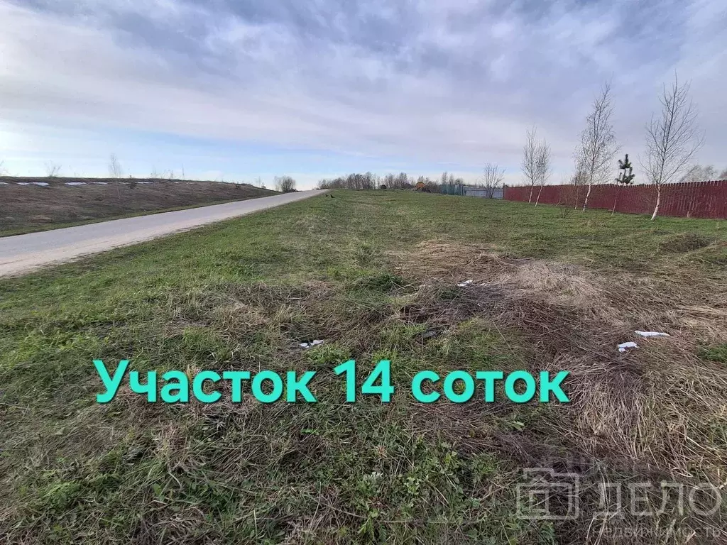 Участок в Рязанская область, Рыбновский муниципальный округ, с. ... - Фото 1