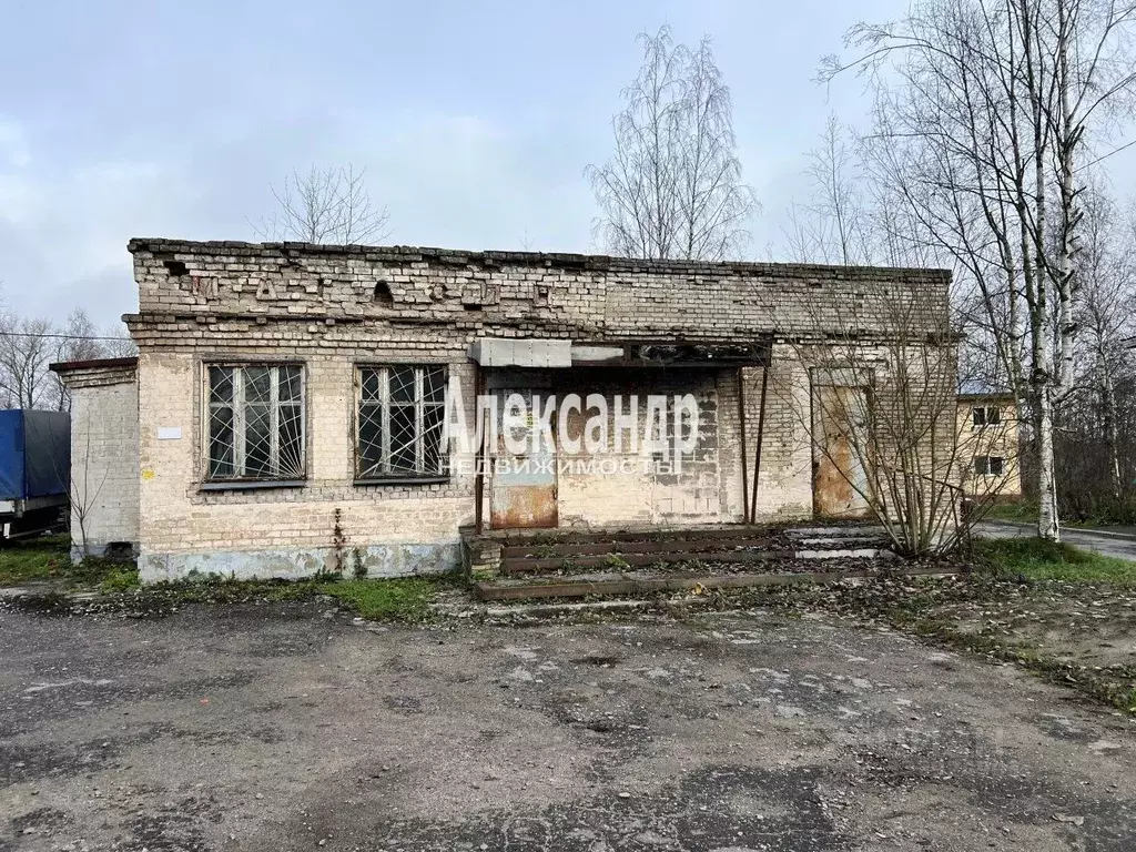 Торговая площадь в Ленинградская область, Всеволожский район, ... - Фото 2