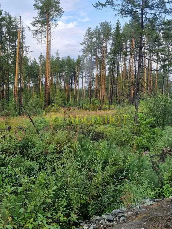Участок в Свердловская область, Ревда  (10.3 сот.) - Фото 1