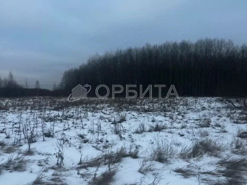 Участок в Тюменская область, Тюменский район, с. Горьковка  (6.0 сот.) - Фото 1