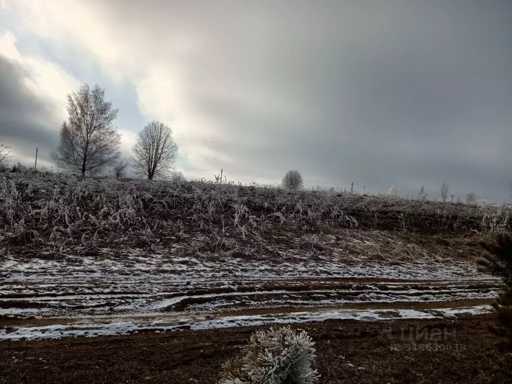 Участок в Московская область, Солнечногорск городской округ, д. Федино ... - Фото 1