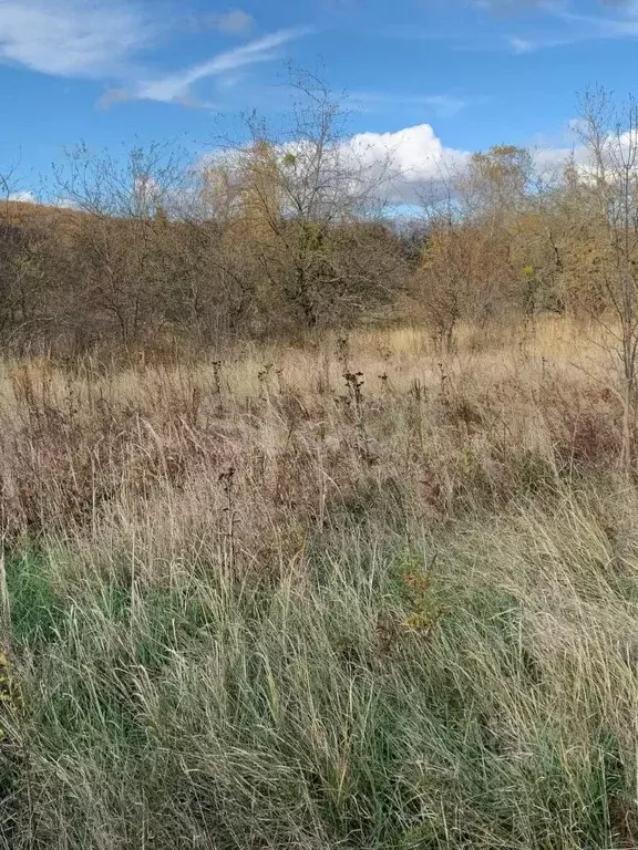Участок в Адыгея, Майкопский район, Победенское с/пос, Грозный хут., ... - Фото 1