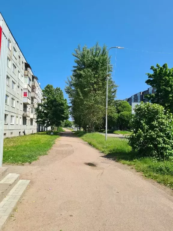 3-к кв. Ленинградская область, Выборгский район, Советское городское ... - Фото 1