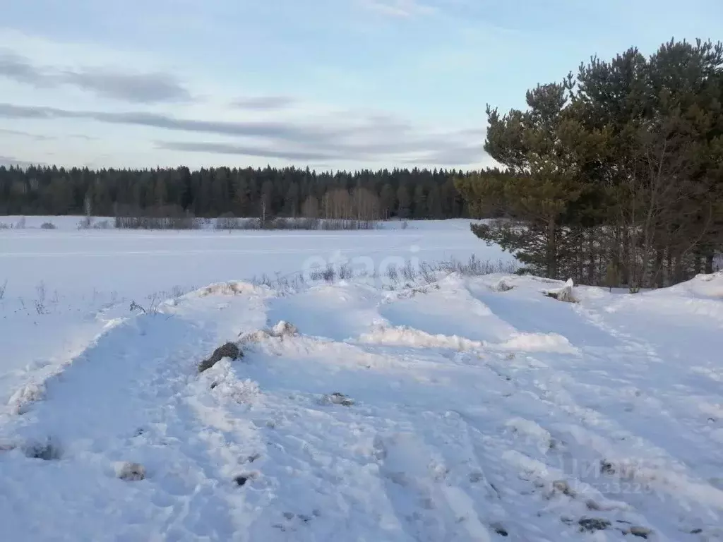 Участок в Свердловская область, Полевской городской округ, с. ... - Фото 1