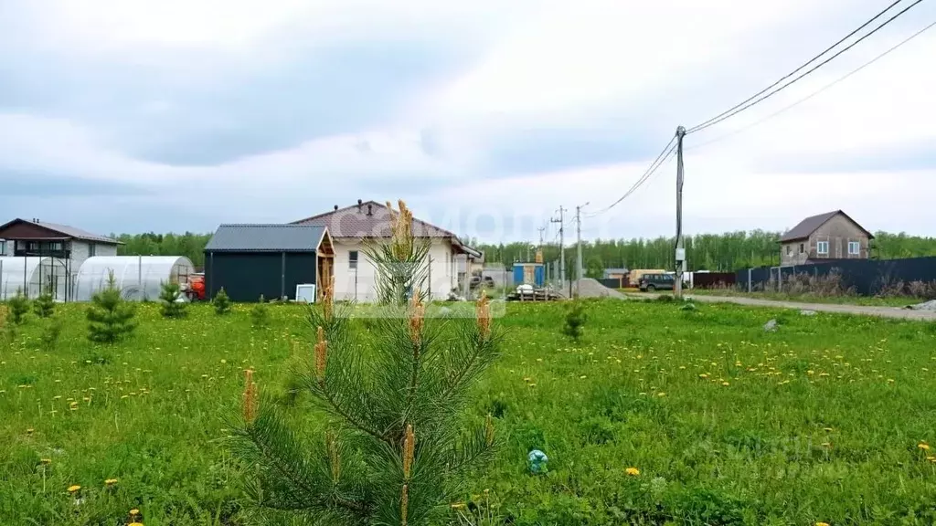 Участок в Свердловская область, Белоярский муниципальный округ, д. ... - Фото 0