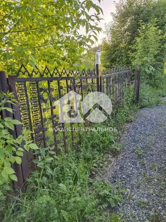 Участок в Новосибирская область, Новосибирск Садоводческого ... - Фото 1