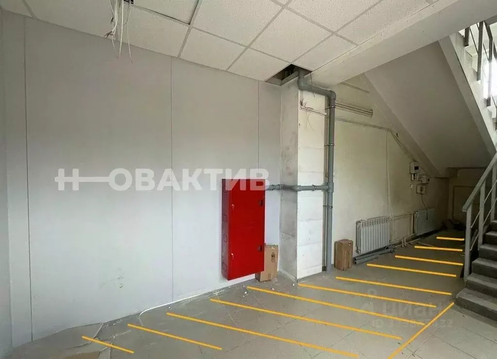 Торговая площадь в Новосибирская область, Новосибирск ул. Пархоменко, ... - Фото 2