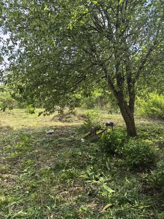 Участок в Белгородская область, Белгородский район, Беломестненское ... - Фото 1