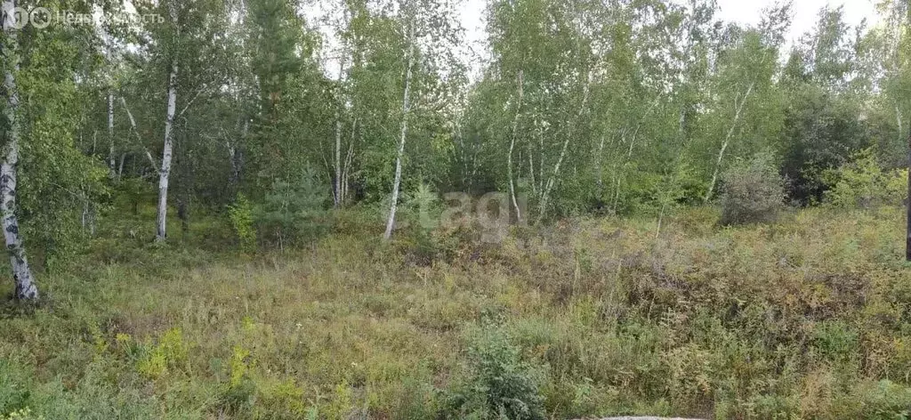 Участок в Якутск, микрорайон Марха, Солнечная улица (17 м) - Фото 1