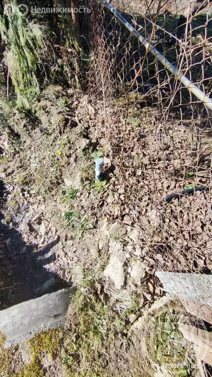 Дом в Пениковское сельское поселение, СНТ Флора-2, 8 (43 м) - Фото 2