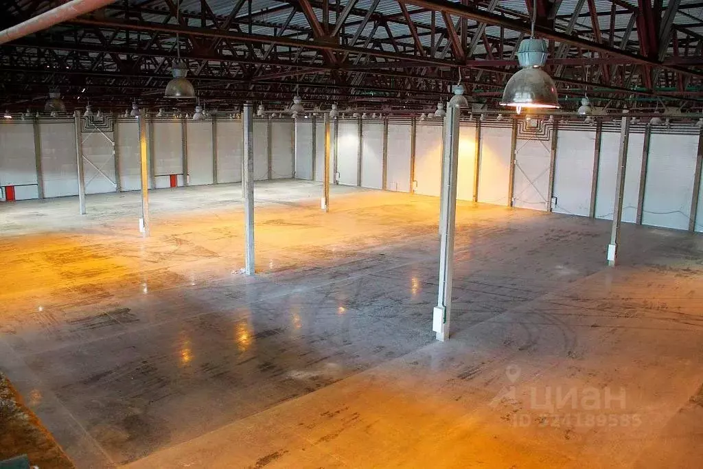 Склад в Новосибирская область, Обь тракт Омский, 3 (8500 м) - Фото 2