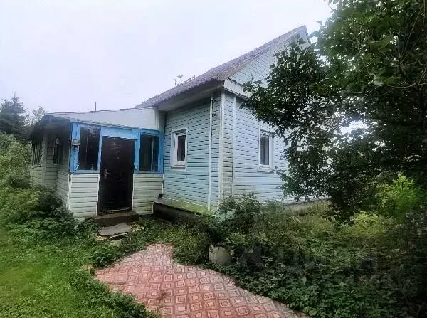 Дом в Псковская область, Гдов городское поселение, Устье кп  (88 м) - Фото 1