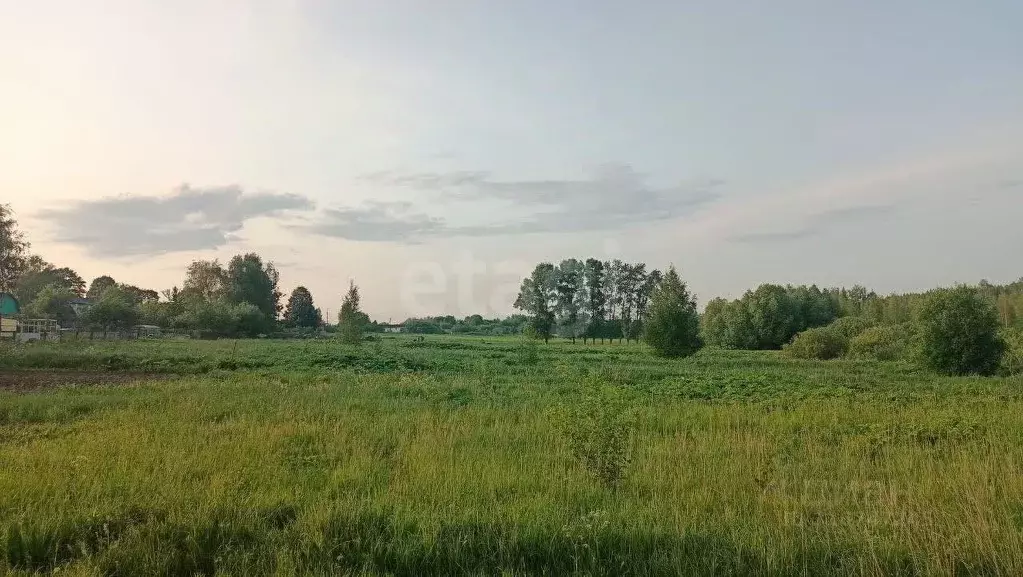 Участок в Ярославская область, Ярославский муниципальный округ, д. ... - Фото 1