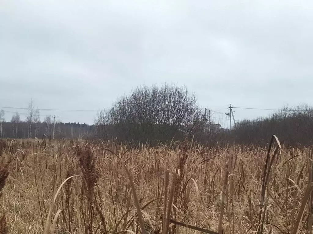 Участок в Московская область, Раменский муниципальный округ, д. ... - Фото 2