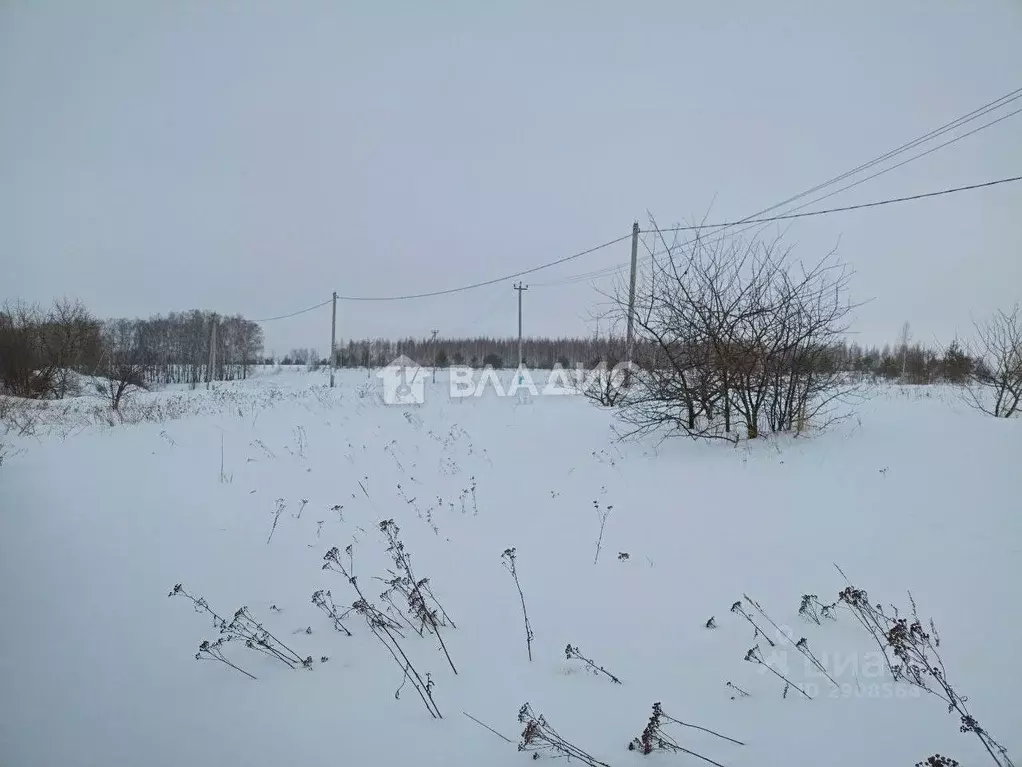 Участок в Московская область, Коломна городской округ, д. Верхнее ... - Фото 1