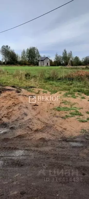 Участок в Ярославская область, Ярославский муниципальный округ, д. ... - Фото 1