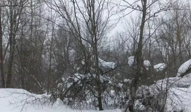 Участок в Московская область, Дмитровский муниципальный округ, д. ... - Фото 1