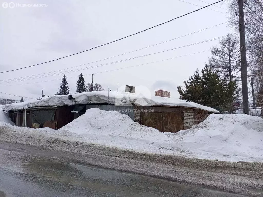 Участок в Новосибирск, улица Чапаева, 60 (4.35 м) - Фото 2