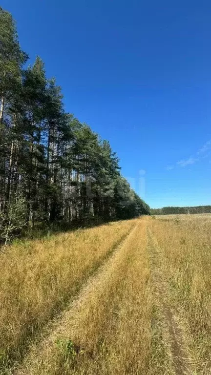 Участок в Нижегородская область, Балахнинский муниципальный округ, д. ... - Фото 1