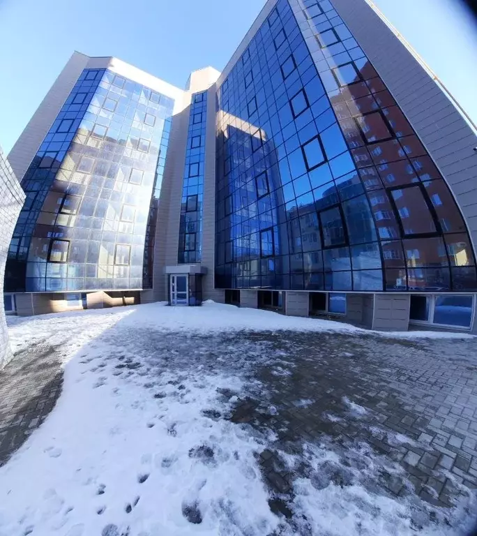 Торговая площадь в Курская область, Курск Дружининская ул., 4А (550 м) - Фото 1