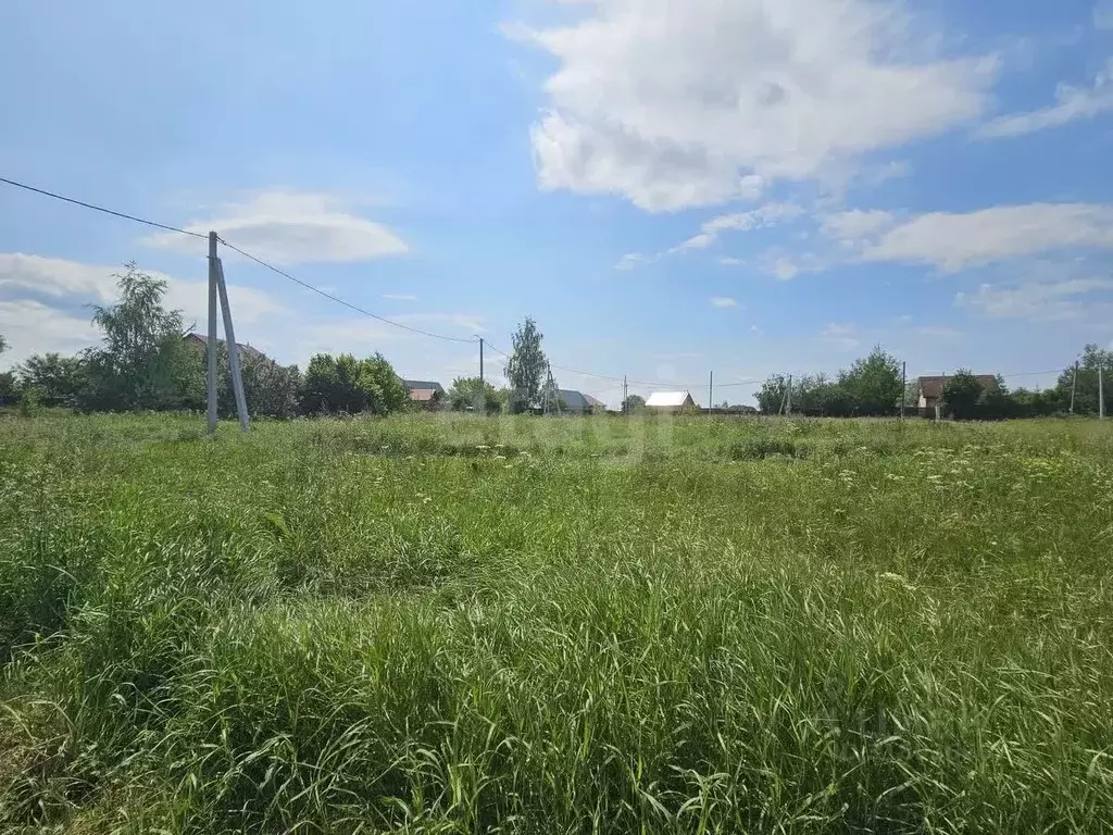 Участок в Московская область, Луховицы муниципальный округ, д. Гольный ... - Фото 1