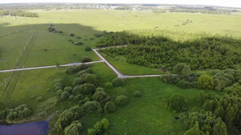 Участок в Тульская область, Заокский район, Демидовское с/пос, д. ... - Фото 2