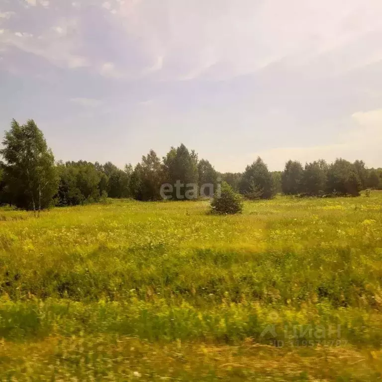 Участок в Владимирская область, Муром д. Коржавино, ул. Лесная, 8 ... - Фото 0