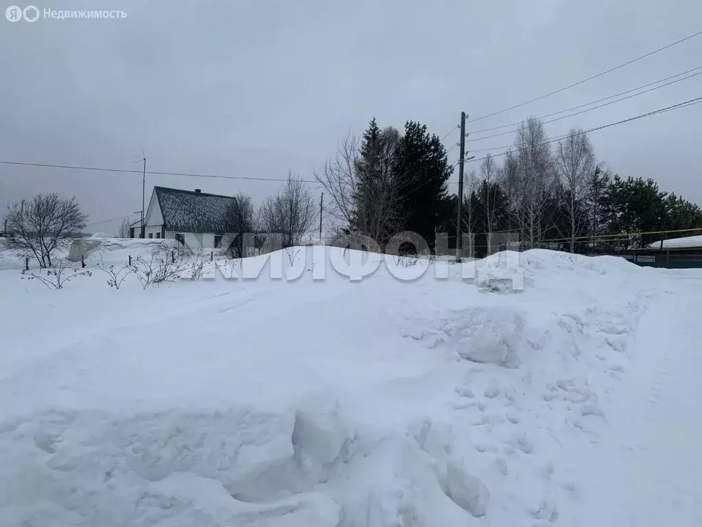 Участок в Репьёвский сельсовет, деревня Шмаково, Инская улица (15 м) - Фото 2