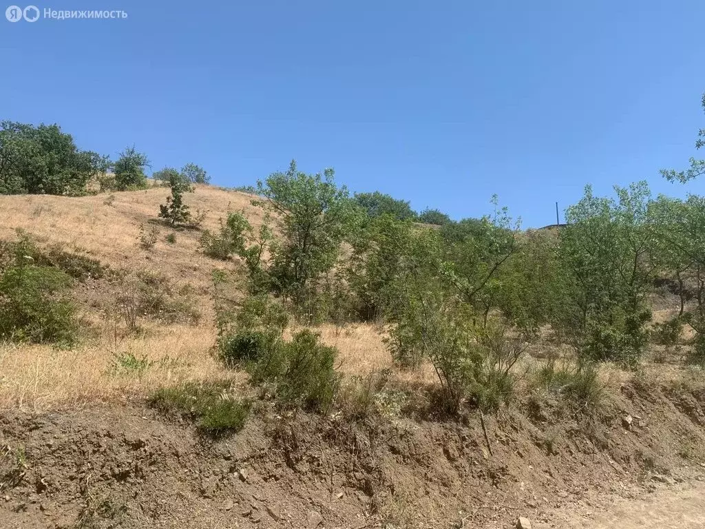 Участок в Приветное, улица Фросинлер (8 м) - Фото 2