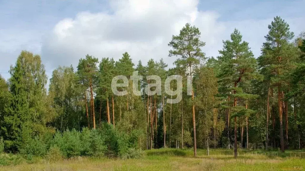 Участок в Красноярский край, Емельяновский район, Никольский ... - Фото 0