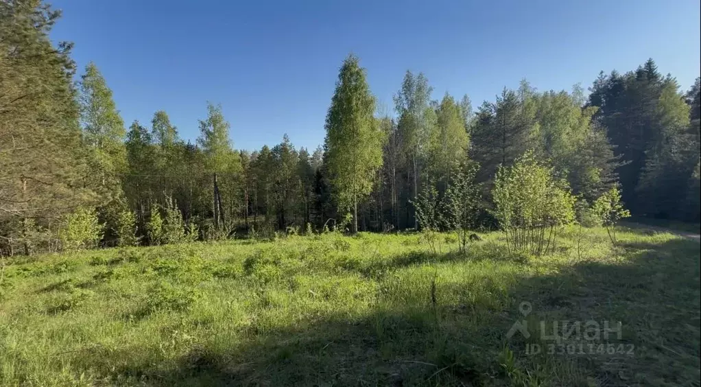 Участок в Новгородская область, Валдайский муниципальный район, ... - Фото 1