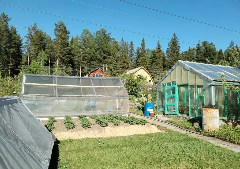 Дом в Свердловская область, Нижний Тагил просп. Ленина (50 м) - Фото 1