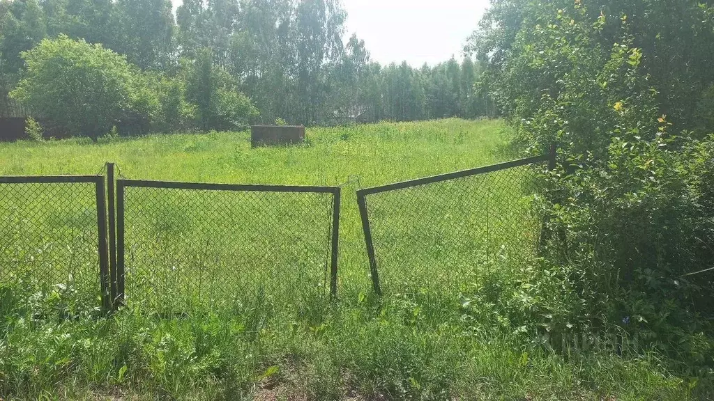 Участок в Московская область, Кашира городской округ, д. Баскачи ул. ... - Фото 2