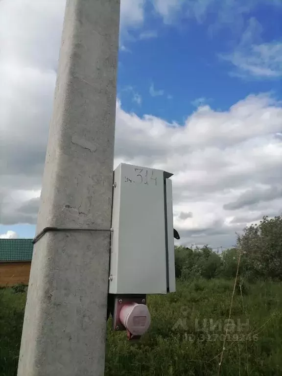 Участок в Новосибирская область, Колыванский район, Север ТСН  (8.0 ... - Фото 0