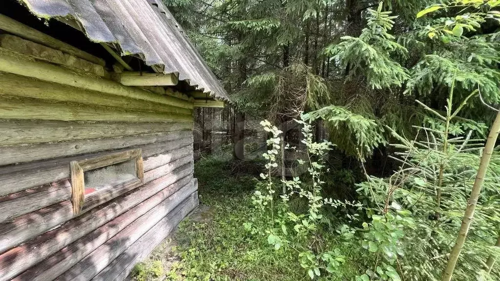 Дом в Ленинградская область, Киришский район, Будогощское городское ... - Фото 2