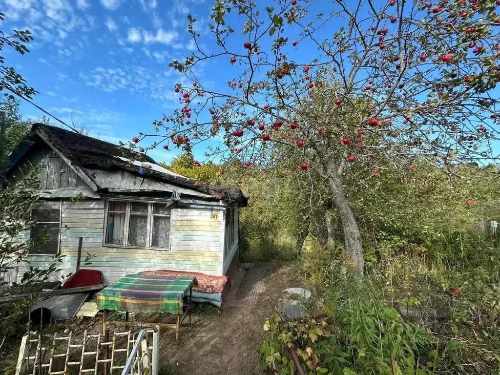 Участок в Нижегородская область, Нижний Новгород Лесной работник СНТ, ... - Фото 1