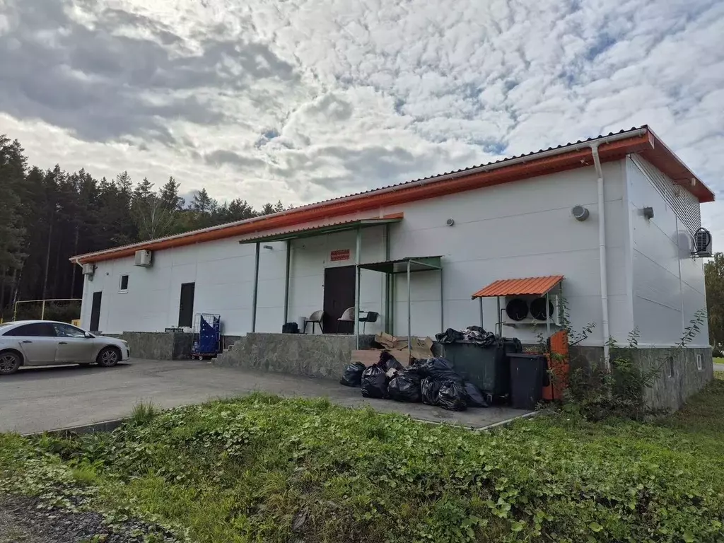 Торговая площадь в Свердловская область, Сысертский муниципальный ... - Фото 2