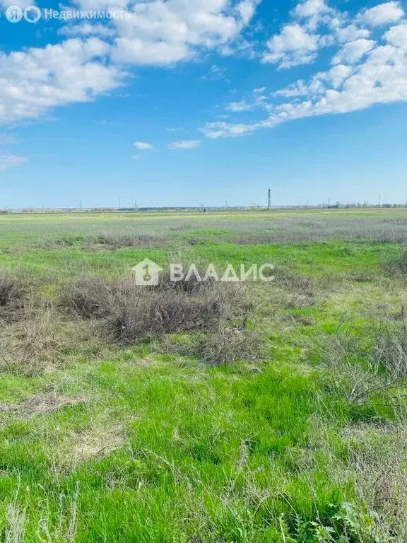 Участок в Балаковский район, Быково-Отрогское муниципальное ... - Фото 1