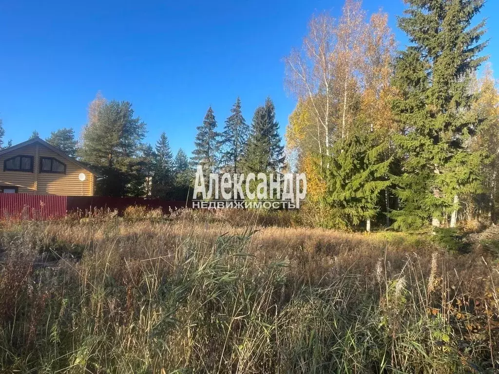Участок в Ленинградская область, Приозерский район, Ларионовское ... - Фото 2
