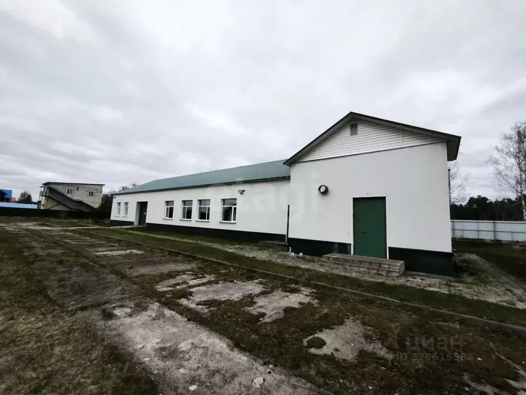 Помещение свободного назначения в Брянская область, Жуковка Сельская ... - Фото 1