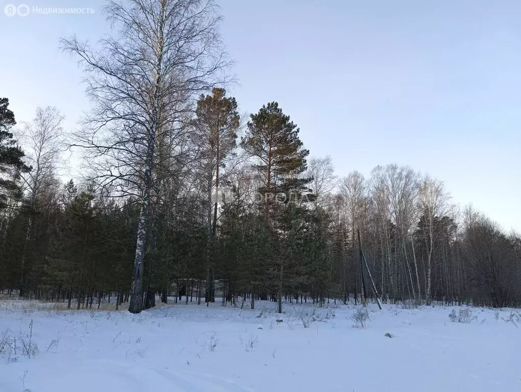 Участок в Новосибирский район (820 м) - Фото 1