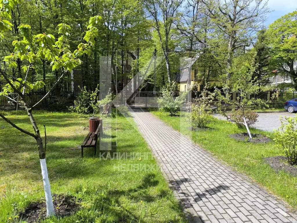 2-к кв. Калининградская область, Светлогорск ул. Тихомирова, 3 (54.4 ... - Фото 2