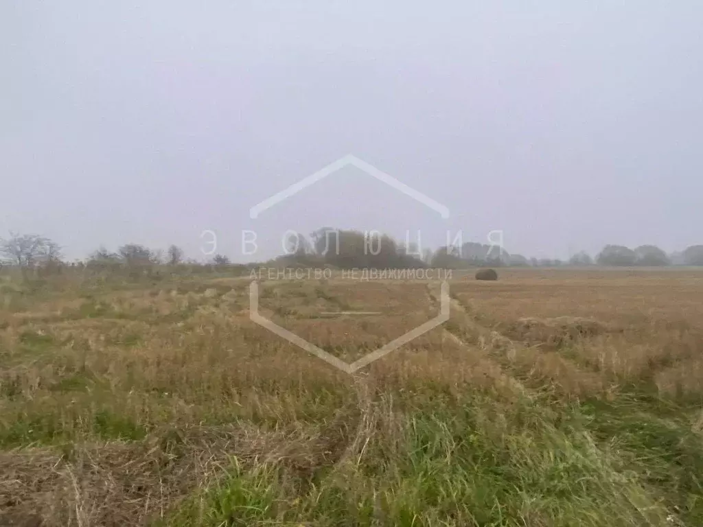 Участок в Калининградская область, Зеленоградский муниципальный округ, ... - Фото 2