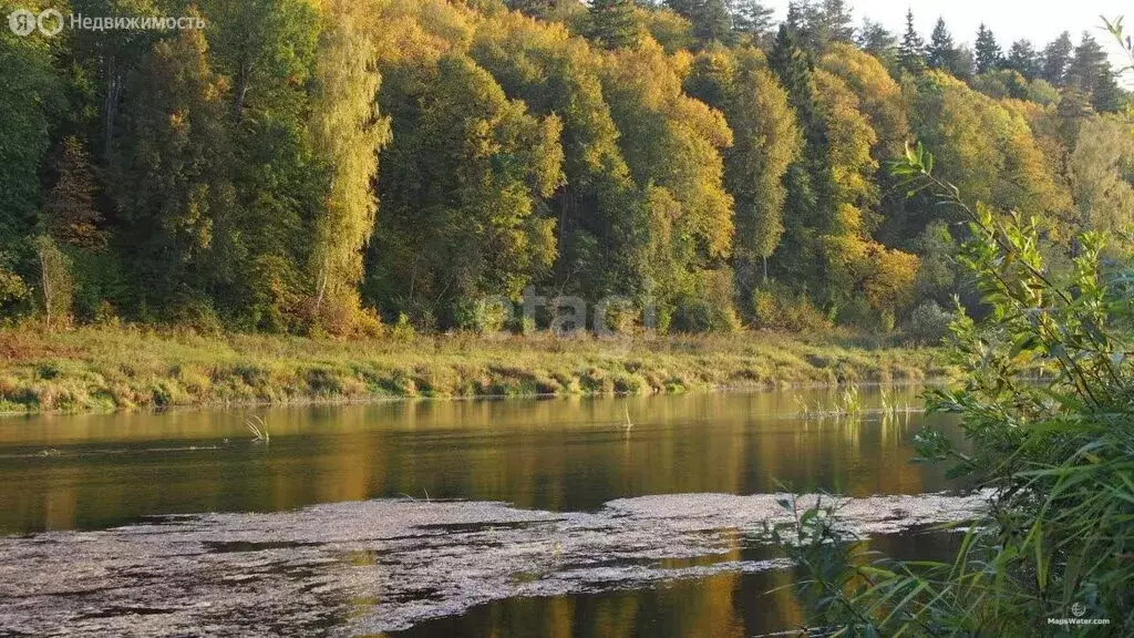 Участок в Калужская область, Юхновский муниципальный округ, сельское ... - Фото 2